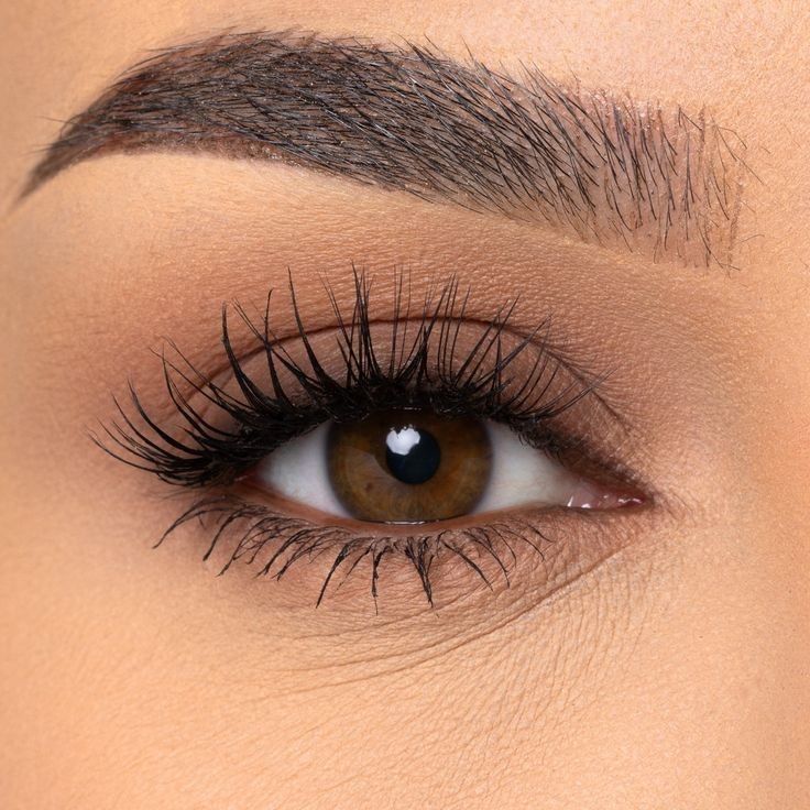 Make up jour